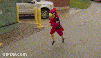 Person In Cardinal Mascot Costume Running Down Street GIF
