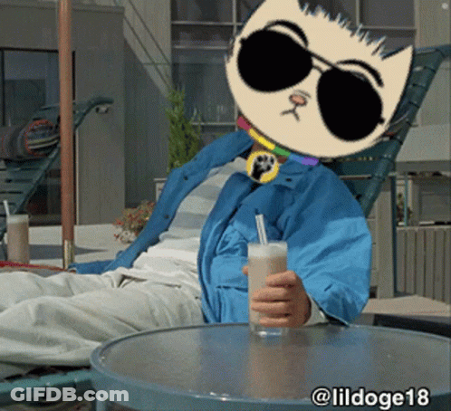 Person In Cat Mask And Sunglasses With Milkshake GIF