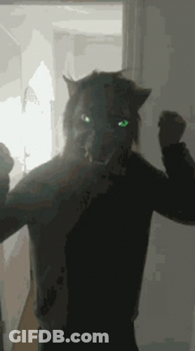 Person In Cat Mask With Green Eyes GIF