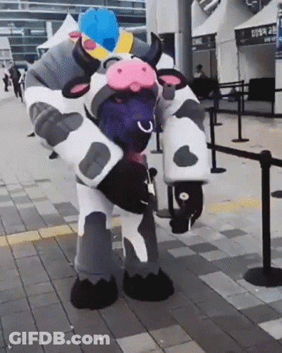 Person In Cow Costume Holding Milk GIF