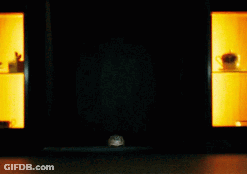 Person In Dark In Front Of Shelf With Cup GIF