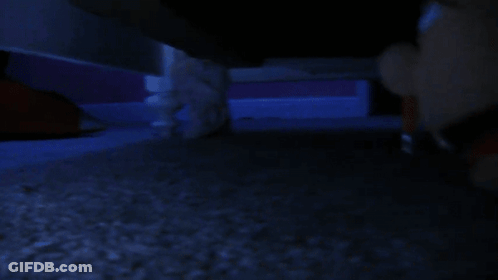 Person In Dark Room With Blue Light GIF