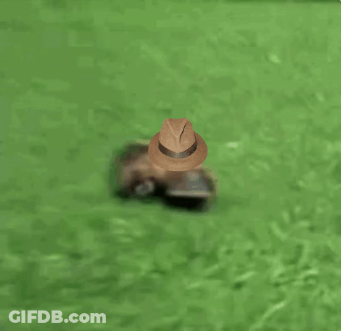Person In Fedora Looking Out Of Hole GIF