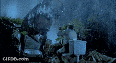 Person In Flip Flops Standing Next To Door With Youtube.com/namastecar GIF