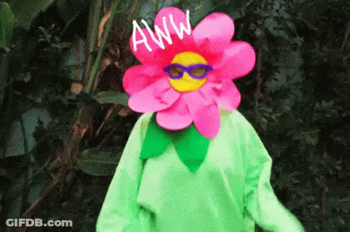 Person In Flower Costume And Sunglasses In Woods GIF