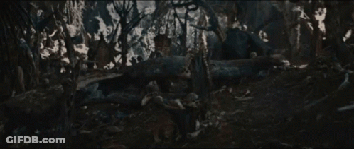 Person In Forest GIF