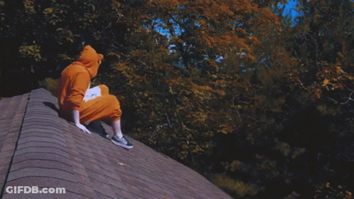 Person In Fox Costume Laying On Roof GIF
