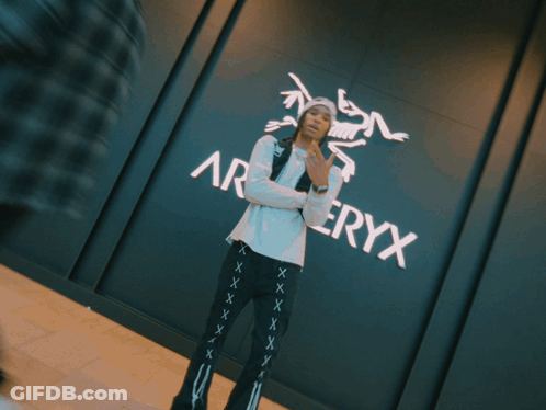 Person In Front Of Army Wall GIF