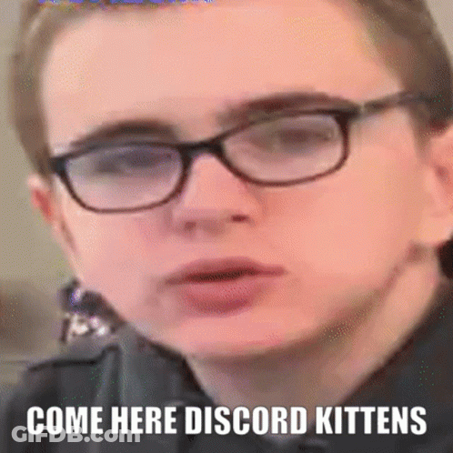 Person In Glasses Come Here Discord Kittens GIF