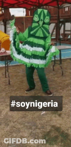 Person In Green And White Costume With SoyNigeria GIF