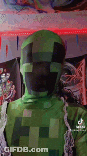 Person In Green Minecraft Creeper Costume GIF