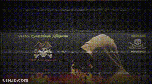 Person In Hood With Skulls And Crossbones GIF