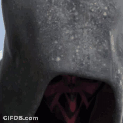 Person In Hooded Jacket And Red Scarf GIF