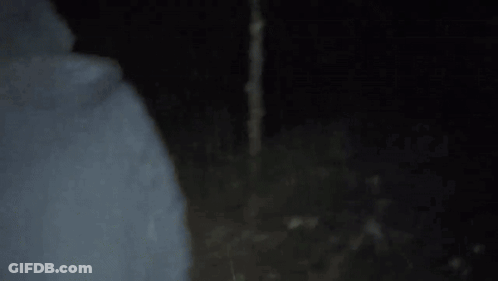 Person In Hooded Jacket Walking Through Dark Forest With Flashlight GIF