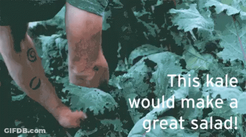 Person In Kale Field Saying This Kale Would Make A Great Salad GIF