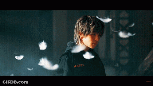 Person In Kappa Hoodie With Flying Feathers GIF