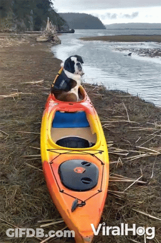 Person In Kayak This Is Going Down In History GIF