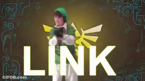 Person In Link Costume Standing In Front Of Sign Saying Link GIF