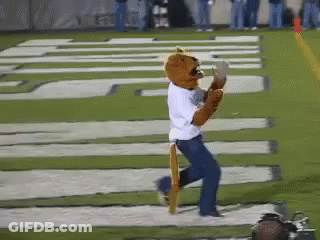 Person In Mascot Costume Running With Tigers GIF