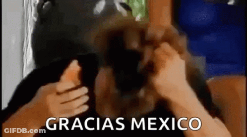 Person In Mask Thumbs Up Gracias Mexico GIF