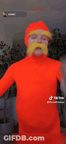 Person In Orange Costume Holding Microphone And Yellow Mustache GIF
