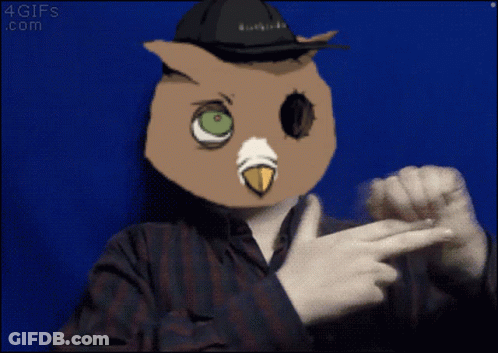 Person In Owl Mask Pointing At Blue Background GIF
