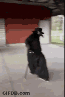 Person In Plague Doctor Costume Walking GIF