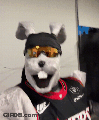 Person In Rabbit Costume And Nike Jersey GIF