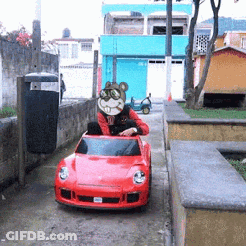 Person In Red Car With Squirrel On Face GIF