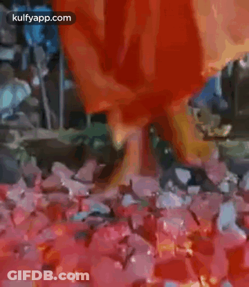Person In Red Dress Among Red Flowers GIF