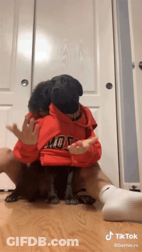 Person In Red Hoodie With Mos Holding Black Dog GIF
