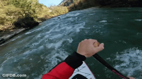 Person In Red Jacket Holding Paddle GIF