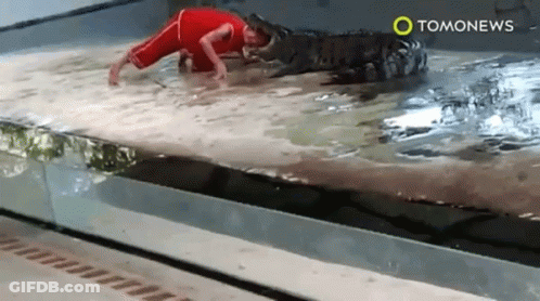 Person In Red Outfit Crawling Into Pool With Tomonews GIF
