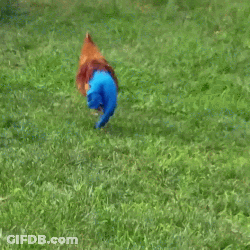 Person In Red Shirt And Blue Shorts Near Wooden Structure GIF
