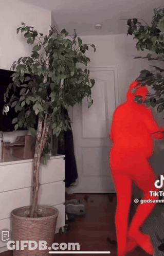 Person In Red Suit Standing By Plant GIF