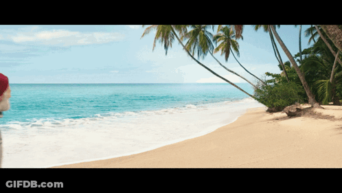 Person In Santa Hat On Beach GIF