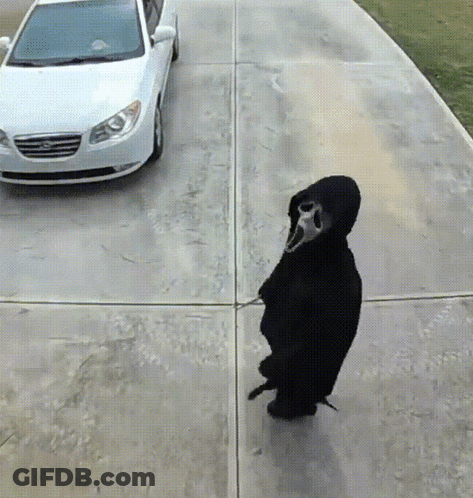 Person In Scream Mask Walking Beside White Car GIF