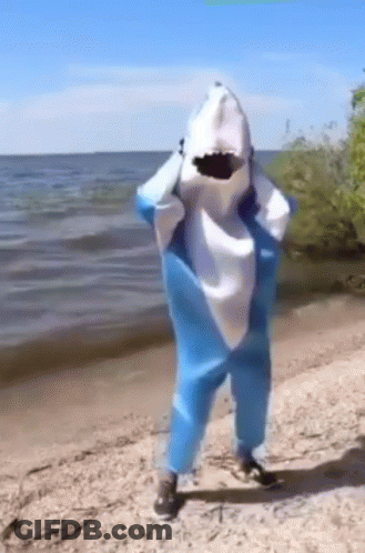 Person In Shark Costume On Beach GIF