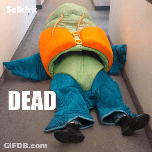 Person In Sleeping Bag Saying Dead GIF