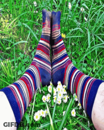 Person In Striped Socks Lying In Grass With Daisies GIF