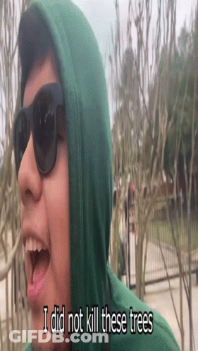 Person In Sunglasses And Green Hoodie Saying I Did Not Kill These Trees GIF
