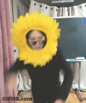 Person In Sunglasses And Sunflower Headpiece GIF