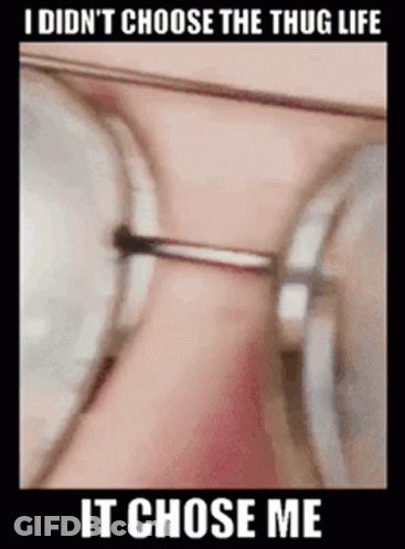 Person In Sunglasses I Didn't Choose The Thug Life It Chose Me GIF