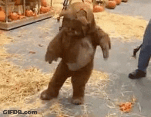 Person In Teddy Bear Costume GIF