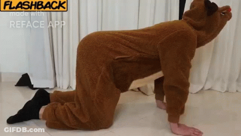 Person In Teddy Bear Costume Kneeling GIF