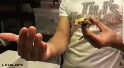 Person In Tim's Pizza Shirt Holding Pizza GIF