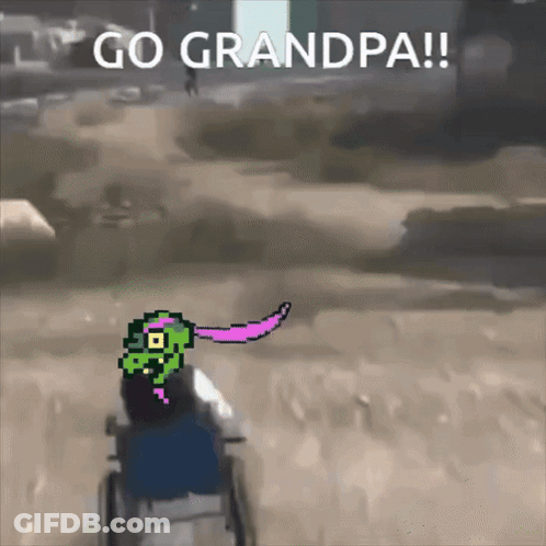 Person In Wheelchair Go Grandpa GIF