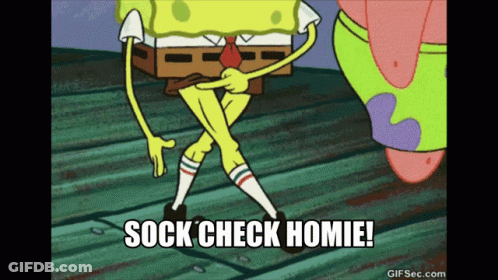 Person In White Socks With Pig GIF