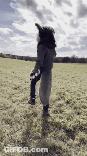 Person In Wolf Costume Standing On One Leg GIF
