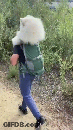 Person In Wolf Mask With Backpack Walking On Trail GIF